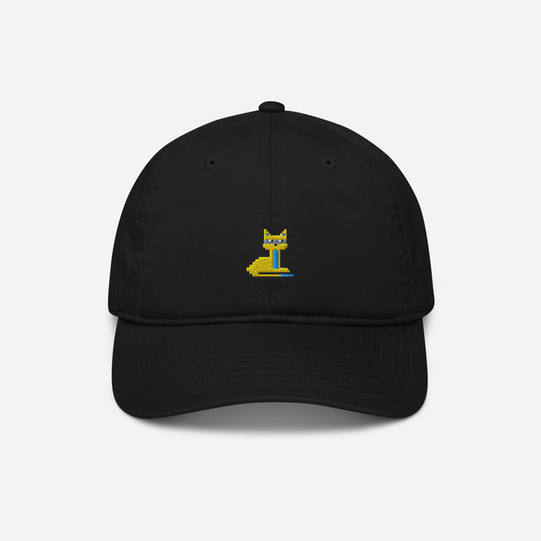 Organic Baseball Cap - Black - NodeCat