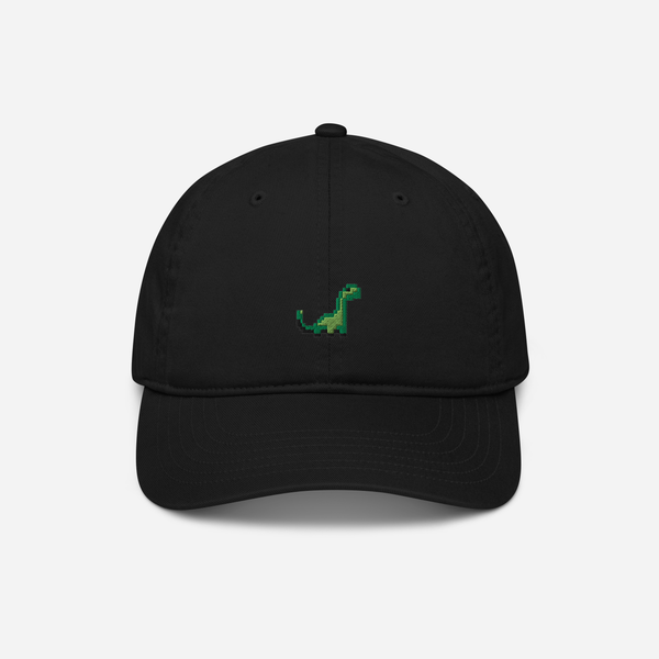 Organic Baseball Cap - Black - RexRally