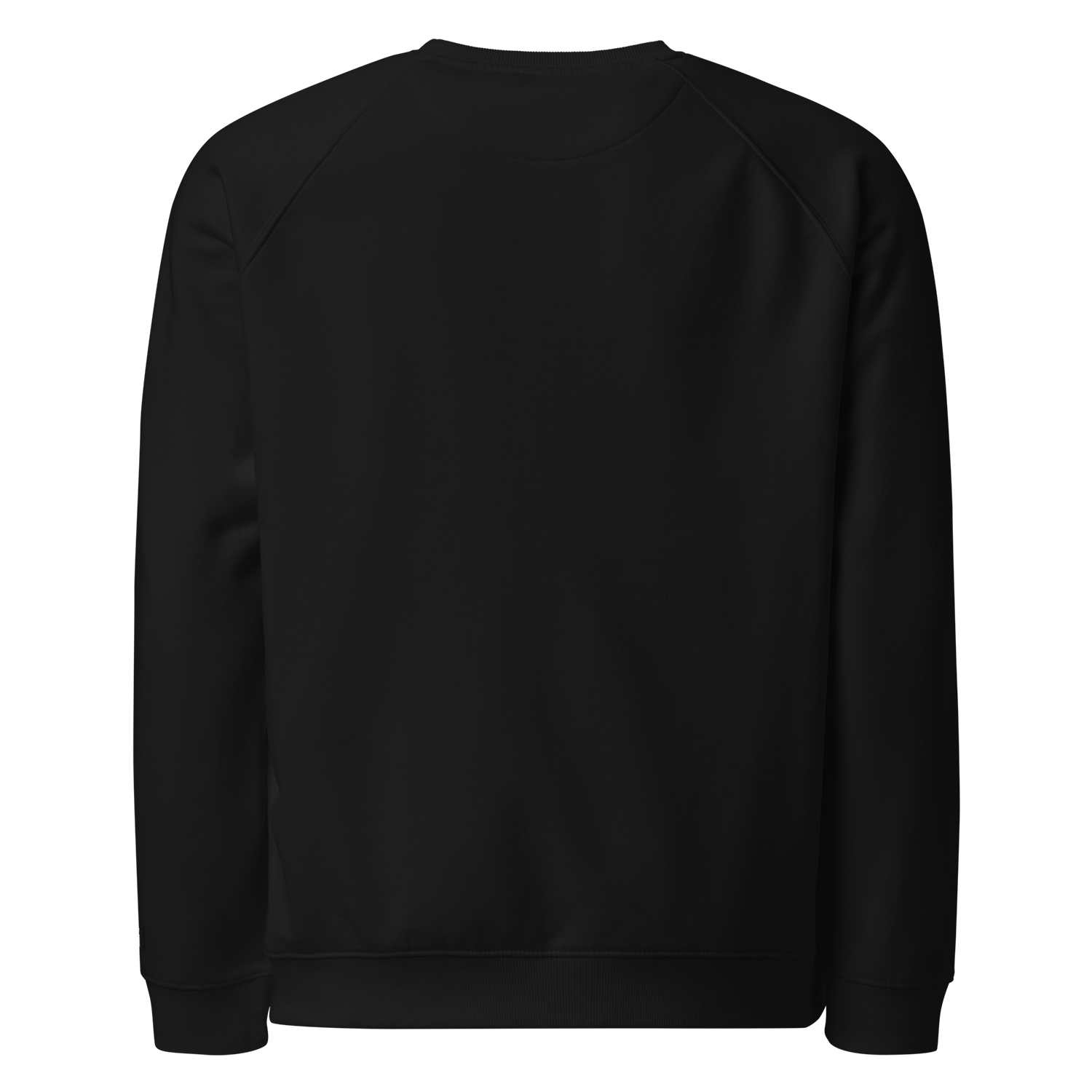 Unisex Organic Raglan Sweatshirt - BLACK - IYKYK